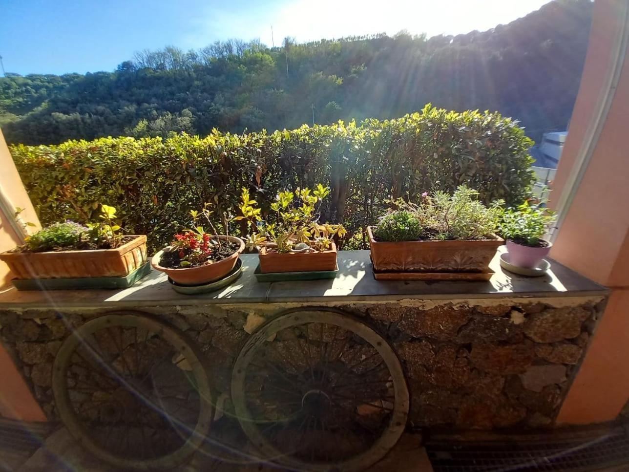 Agriturismo Cele Celle Ligure Exterior photo