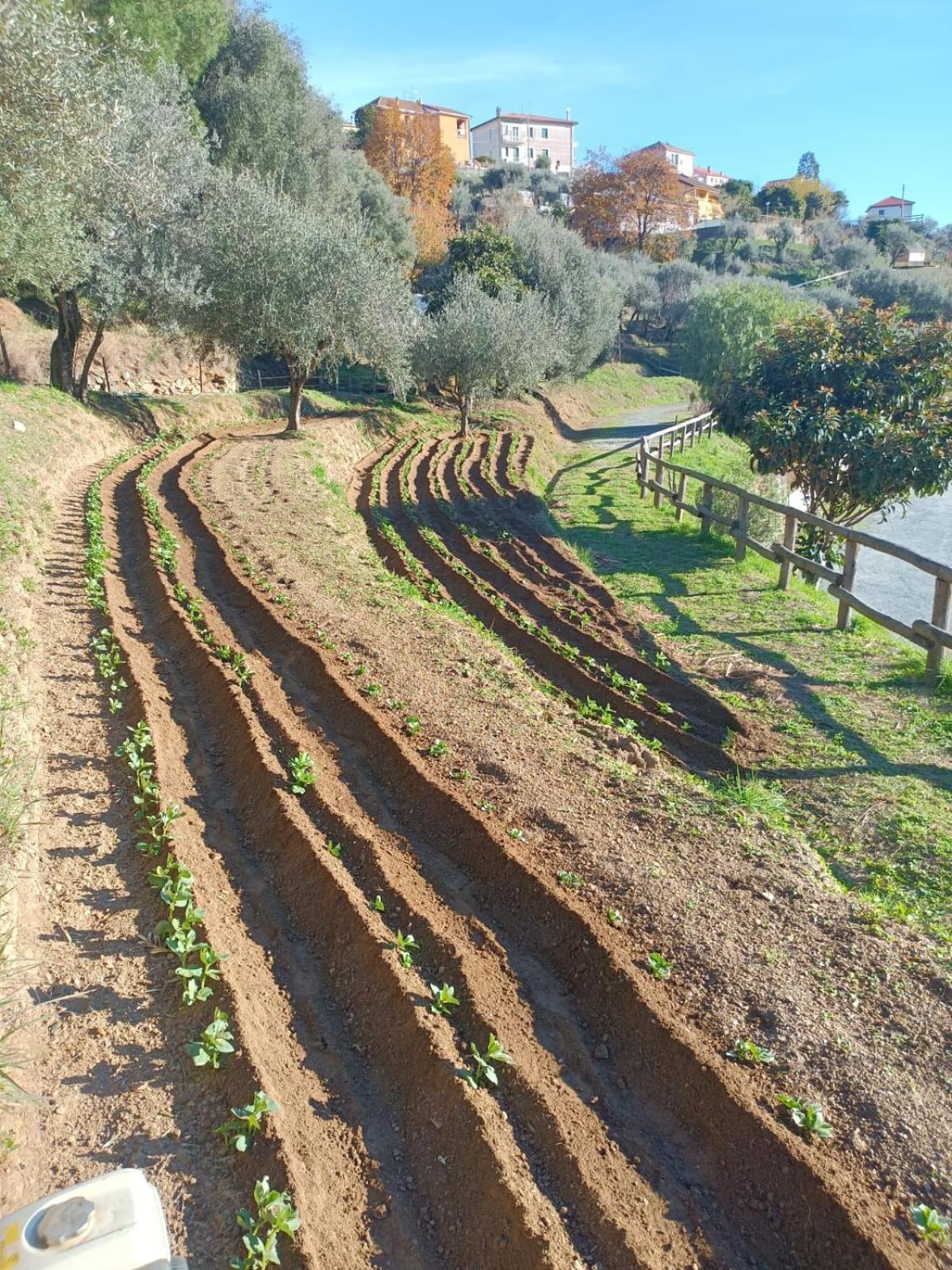 Agriturismo Cele Celle Ligure Exterior photo